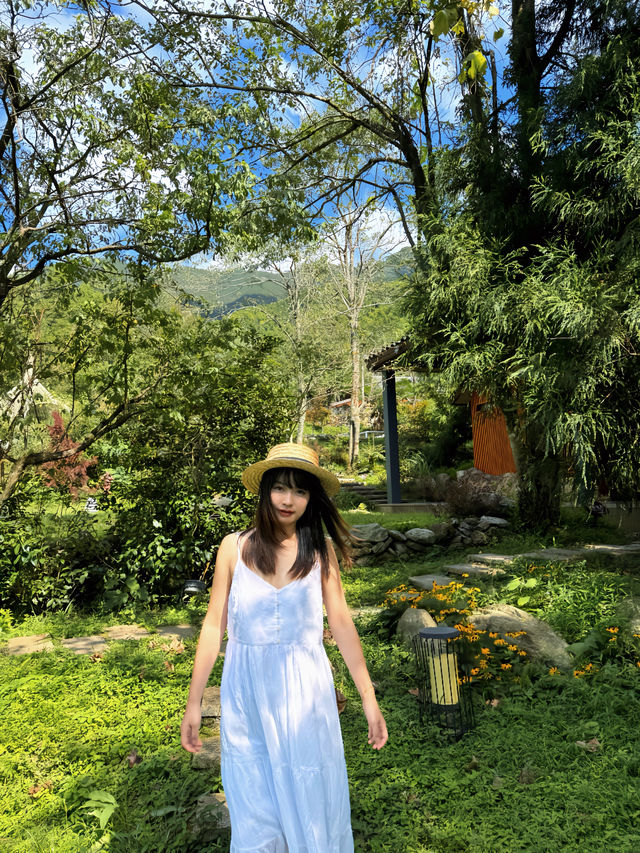 武功山歸來已老實 還得是被山野治癒