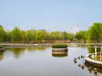 西安浐灞國家濕地公園｜一年去N次的遛娃聖地。
