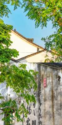 比蘇杭更溫婉，我嘅江南夢悄然綻放喺紹興。