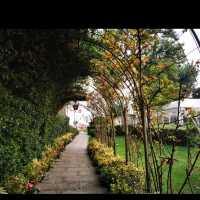 A very luxurious stay at belmond hotel Venice 