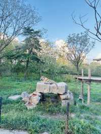 夜遊上海野生動物園