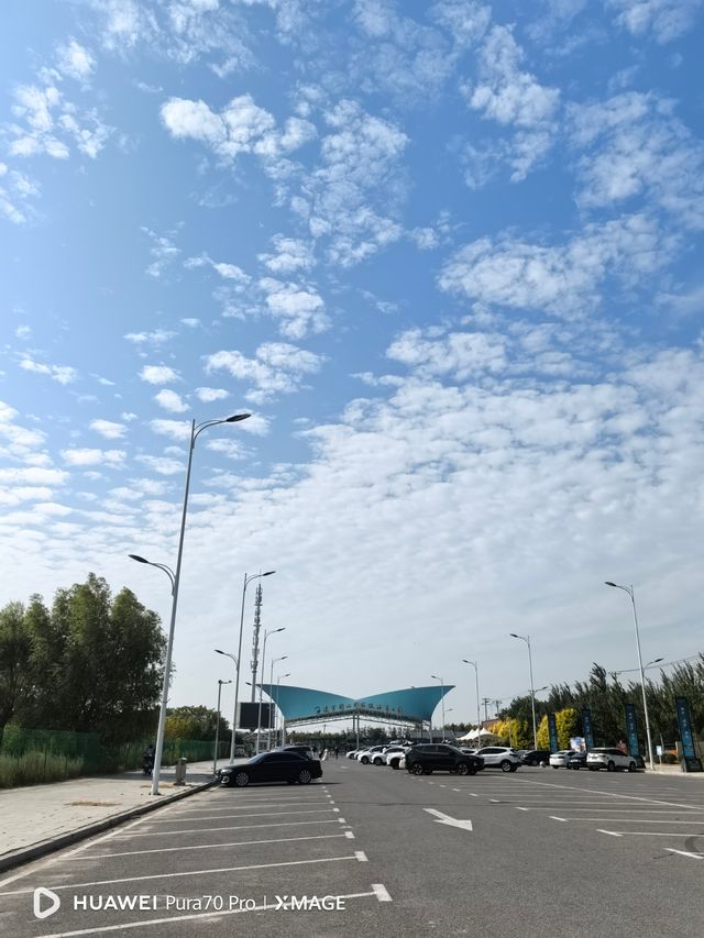 遼寧團山國家級海洋公園-遛娃打卡