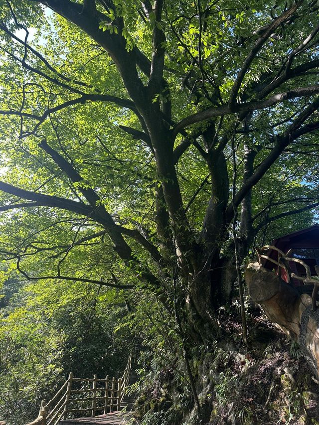湖北恩施坪坝營｜又是一幅艷麗的山水畫。