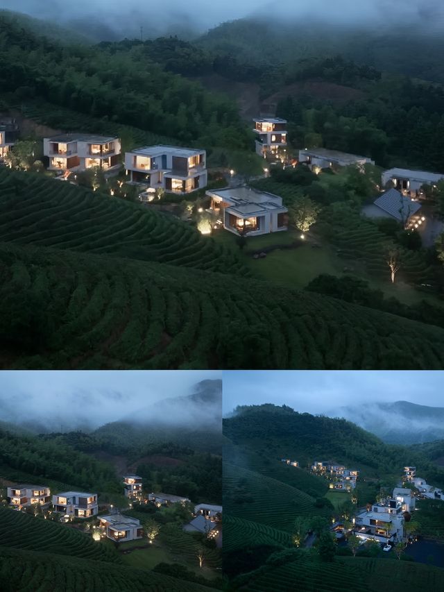 安吉！百畝茶園之間，邂逅治癒避世美宿。