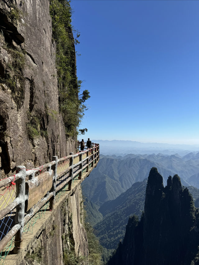 莽山——一座不用爬的山。