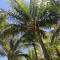 My Khe Beach: Vietnam’s Shimmering Coastal Paradise