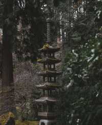 波特蘭日本花園。