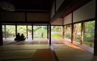 叡山電鐵「瑠璃光院」的途中可以去|蓮華寺。