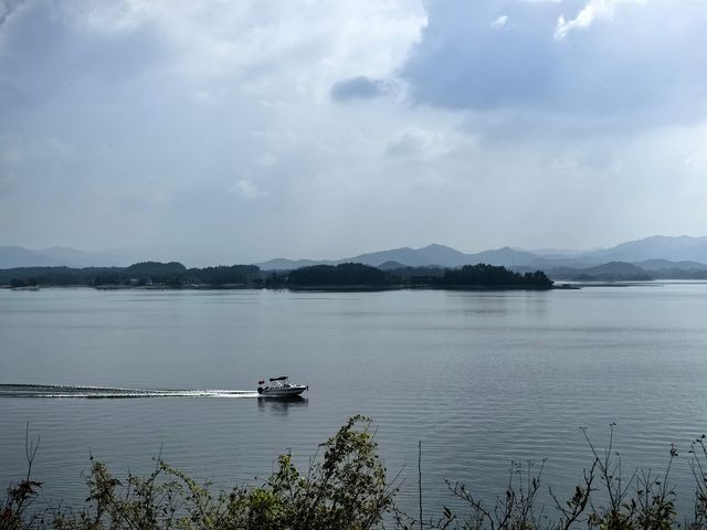 龍河口水庫。