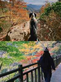 東京賞楓圖鑑：御岳山。