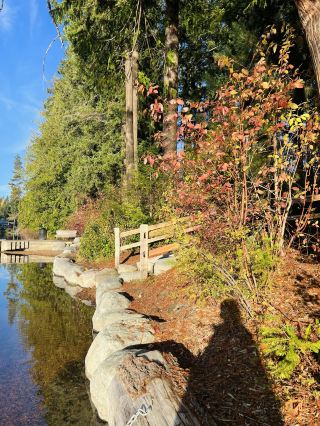 Pine Lake, Seattle, USA.
