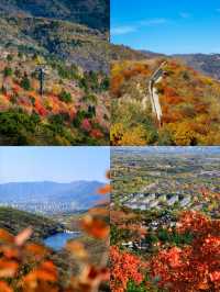 北京香山紅葉已進入觀賞倒數！