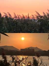 後湖真的很有氛圍感啊。