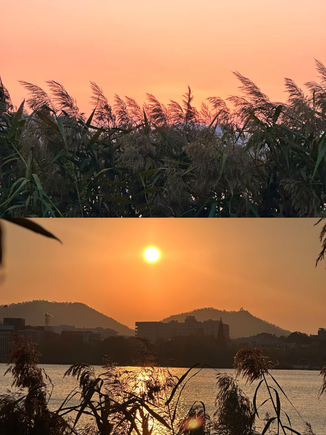 後湖真的很有氛圍感啊。