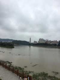 高州市區風景。