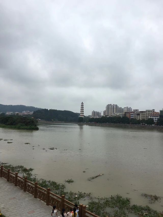 高州市區風景。