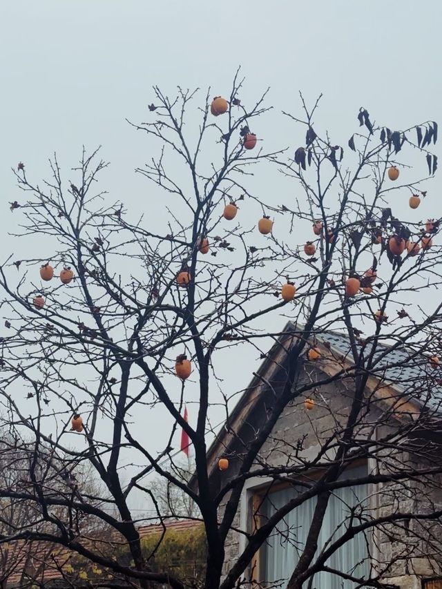 沂蒙仙境，深秋雨後的溫柔邂逅。。