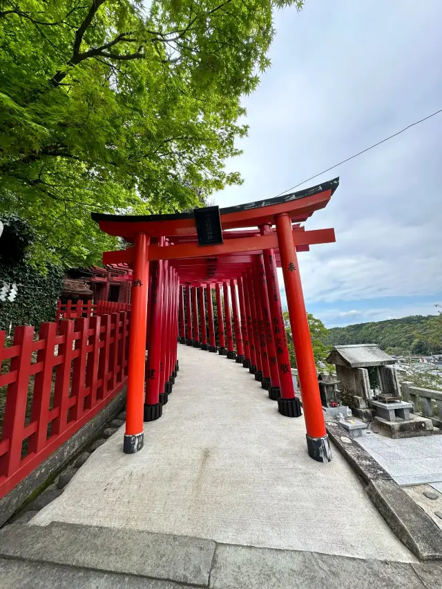 6-Day Autumn Trip to Japan: Don't Miss These Beautiful Spots!