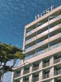 下一站仁川鳥巢酒店 nest hotel    有同行的嗎？。