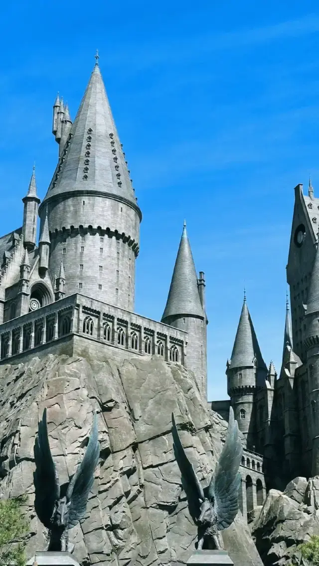 Harry Potter Castle.