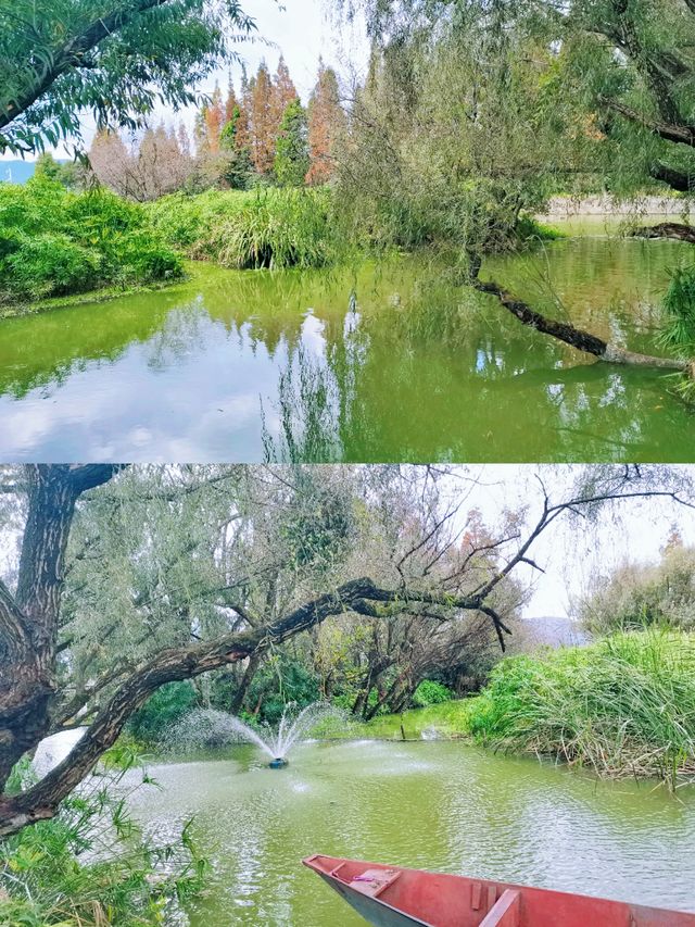 在昆明 | 這是一個很棒的景點，性價比很高。