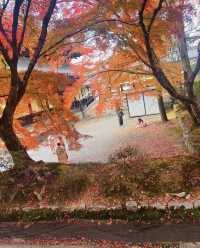 永观堂&南禅寺｜天授庵