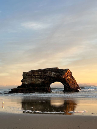 Natural Bridges State Beach - A Place of Natural Beauty and Tranquility.