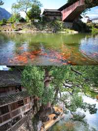 浙江溫州|遇見中國最美廊橋