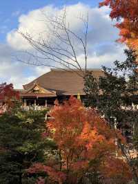 京都｜清水寺紅葉瀑布 風光無限