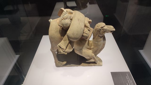 北京寒冬好去處，不去只能說會有遺憾