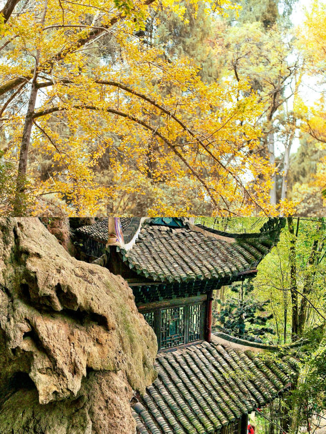 飛雲崖 不枉王陽明先生盛讚