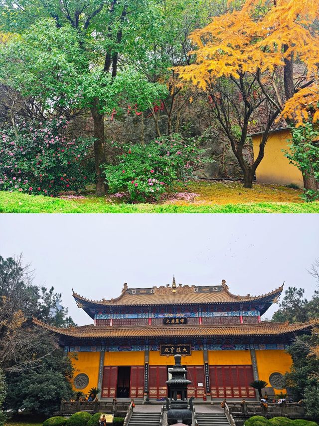 杭州東方文化園