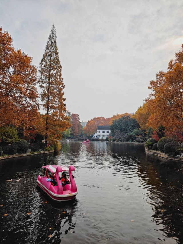 這個公園可不止這棵神樹