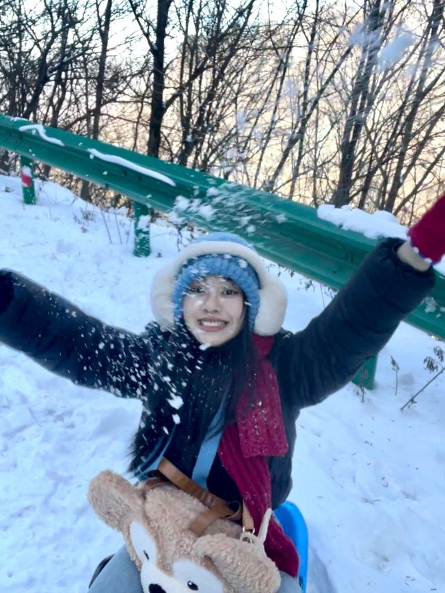 屁股坐爛去看雪