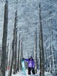 崇禮五大雪場該怎麼選看這一篇就夠了