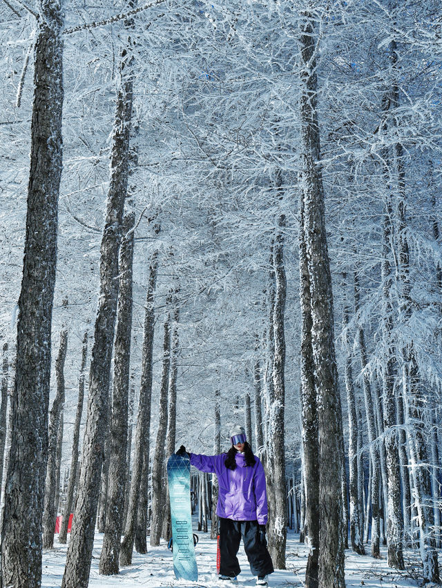 崇禮五大雪場該怎麼選看這一篇就夠了