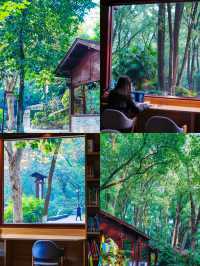 瀘州森系圖書館｜忠山公園 香樟書苑