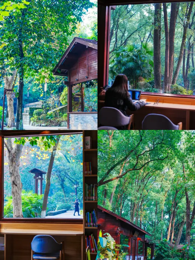 Luzhou Forest Library | Zhongshan Park Xiangzhang Bookstore