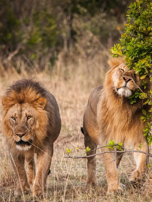 모리셔스 7일 여행 가족 여행 필수 가이드