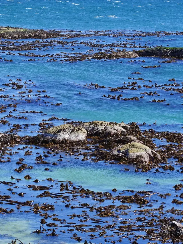 Travel tips for a short holiday in Namibia and other countries