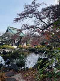 日本·神奈川橫濱