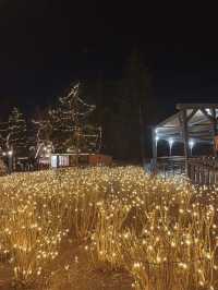 Toronto Wonderland Winterfest is as Beautiful as a Fairy Tale 🎄