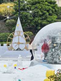 這次！廈門是真的下雪啦！孩子玩瘋了～