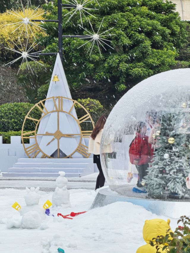 這次！廈門是真的下雪啦！孩子玩瘋了～