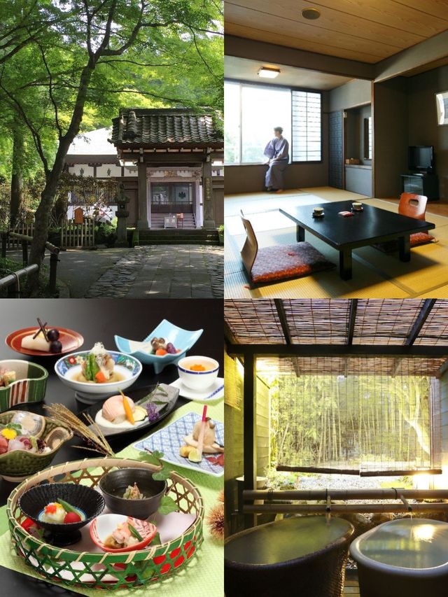日本箱根絕景溫泉！不泡等於白來。