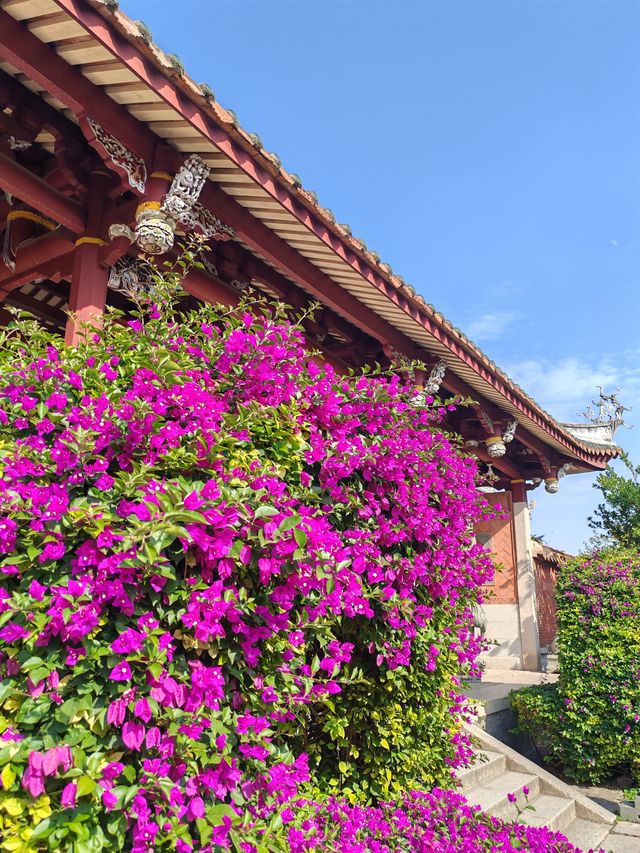 福建最大的寺廟～開元寺