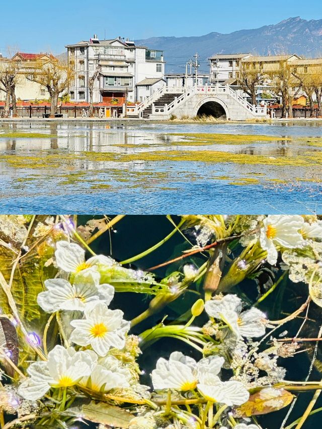 鶴慶｜大理周邊寶藏小眾景點，冷門且驚艷