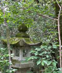 日本高知竹林寺｜禪意寶藏之旅