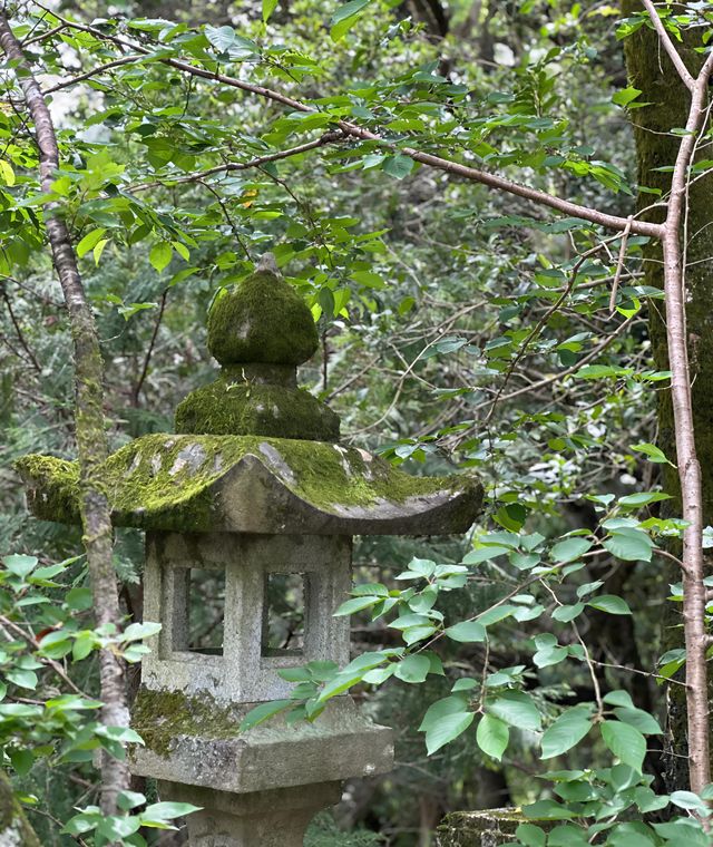 日本高知竹林寺｜禪意寶藏之旅