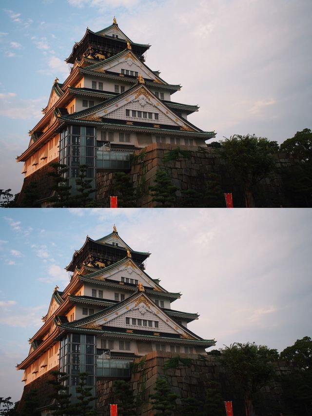 埼玉市旅遊攻略